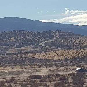 Meet your Posher, Frieda